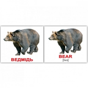 Картки Домана міні Дикі тварини/Wild animals від Вундеркінд з пелюшок 2100064096228