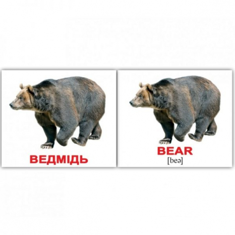 Картки Домана міні Дикі тварини/Wild animals від Вундеркінд з пелюшок 2100064096228