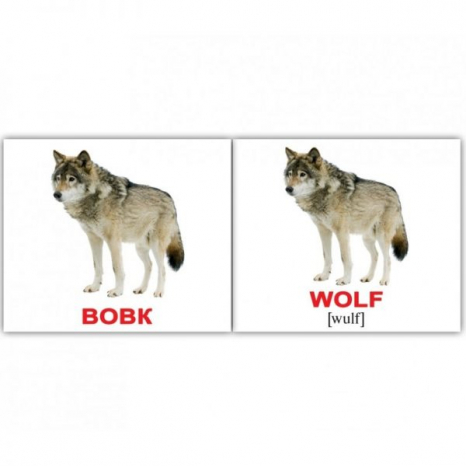 Картки Домана міні Дикі тварини/Wild animals від Вундеркінд з пелюшок 2100064096228