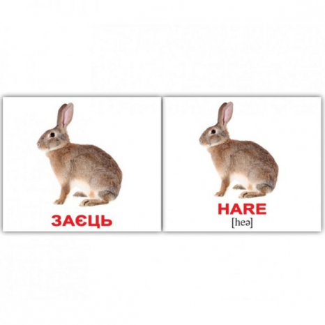 Картки Домана міні Дикі тварини/Wild animals від Вундеркінд з пелюшок 2100064096228