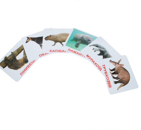 Картки Домана "Екзотичні тварини" від Вундеркінд з пелюшок, великі, з фактами. 2100064096501