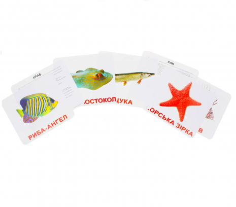 Картки Домана "Мешканці водойм" від Вундеркінд з пелюшок, великі, з фактами. 2100064095306