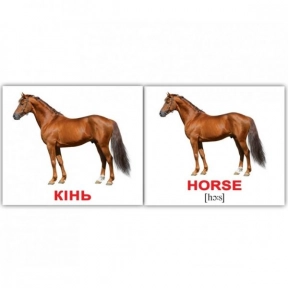 Карточки Домана мини Домашние животные/ Domestic animals от Вундеркинд с пеленок 2100064096808