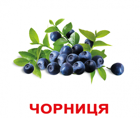 Картки Домана "Ягоди" від Вундеркінд з пелюшок, великі, з фактами. 2100064097041