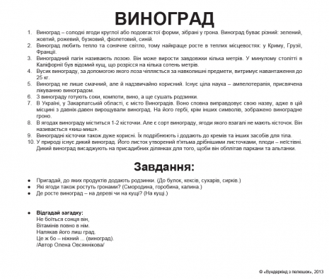 Картки Домана "Ягоди" від Вундеркінд з пелюшок, великі, з фактами. 2100064097041