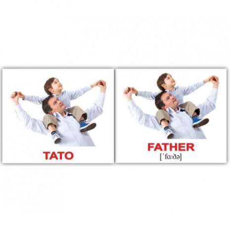 Картки Домана міні Сім'я/ Family від Вундеркінд з пелюшок 2100064271519