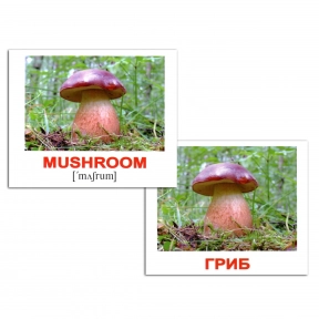 Картки Домана міні Природа/Nature англо-укр. Вундеркінд з пелюшок.