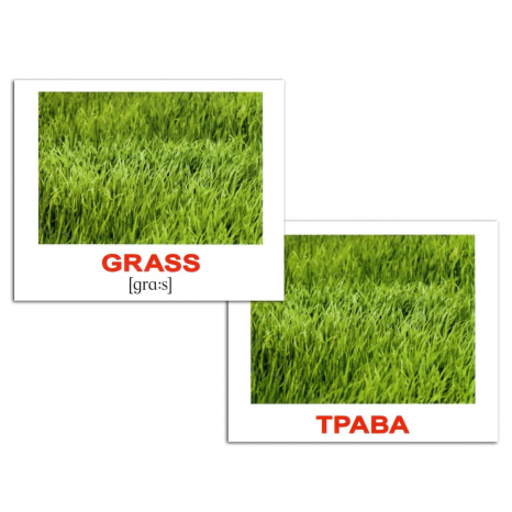 Картки Домана міні Природа/Nature англо-укр. Вундеркінд з пелюшок.