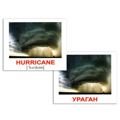 Картки Домана міні Природа/Nature англо-укр. Вундеркінд з пелюшок.