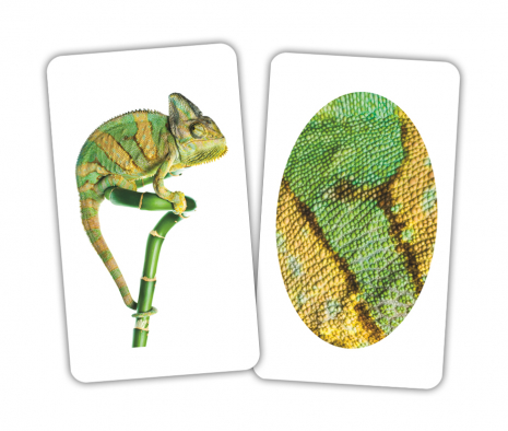 Картки Домана "Тварина та фрагмент" від Вундеркінд з пелюшок. 2100064417313