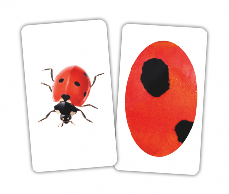 Картки Домана "Тварина та фрагмент" від Вундеркінд з пелюшок. 2100064417313