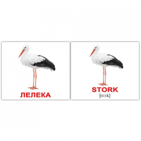 Картки Домана міні Птахи/Birds англо-укр. Вундеркінд з пелюшок 2100064455315