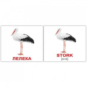 Картки Домана міні Птахи/Birds англо-укр. Вундеркінд з пелюшок 2100064455315