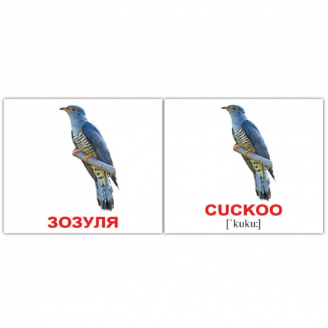 Картки Домана міні Птахи/Birds англо-укр. Вундеркінд з пелюшок 2100064455315