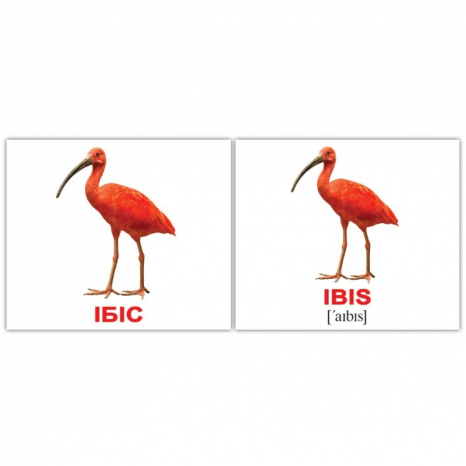 Картки Домана міні Птахи/Birds англо-укр. Вундеркінд з пелюшок 2100064455315