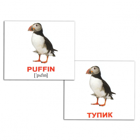 Картки Домана міні Птахи/Birds англо-укр. Вундеркінд з пелюшок 2100064455315