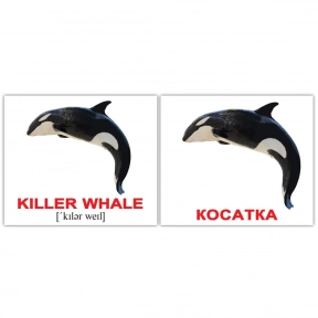 Картки Домана міні Водні тварини / Water animals англо-укр. Вундеркінд з пелюшок 2100065155313