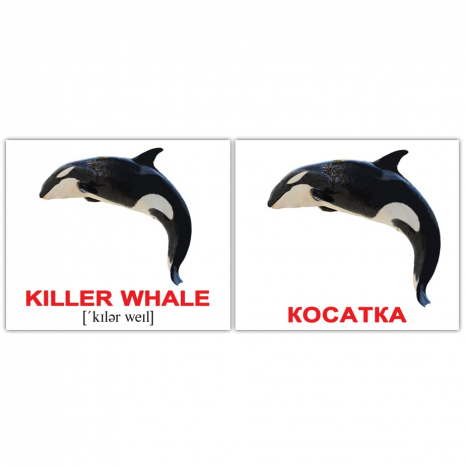 Картки Домана міні Водні тварини / Water animals англо-укр. Вундеркінд з пелюшок 2100065155313