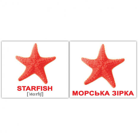 Картки Домана міні Водні тварини / Water animals англо-укр. Вундеркінд з пелюшок 2100065155313