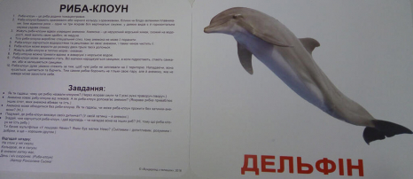 Подарунковий набір Вундеркінд з пелюшок Велика валіза українською мовою. 2100065195319