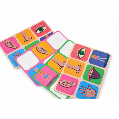 Розвиваюча настільна гра "Лото органи чуття" 2279