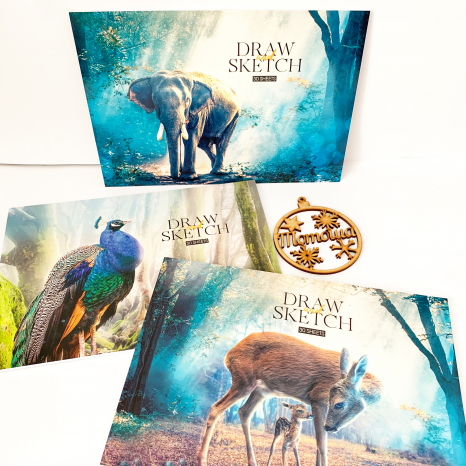 Альбом А4  30арк  Star для малювання на склейці 243 (15 шт. в упаковці) /75