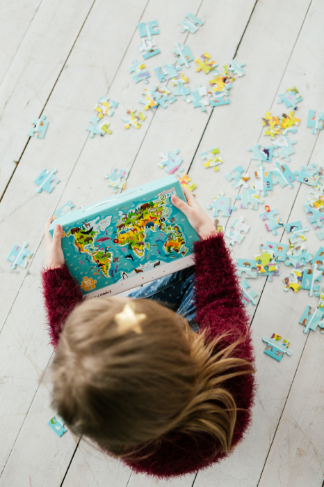 Картонные пазлы Карта мира животные / Карта животных (80 дет.), Додо / Dodo