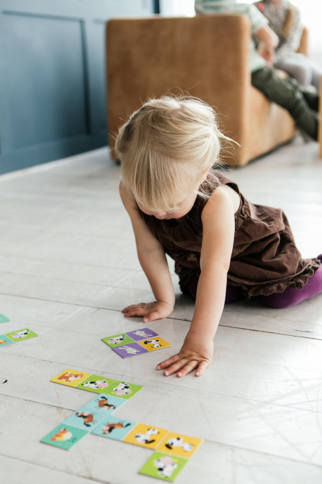 Доміно тварини Dodo