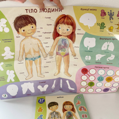 Навчальний постер з наклейками 300901 «Тіло людини» XL DoDo
