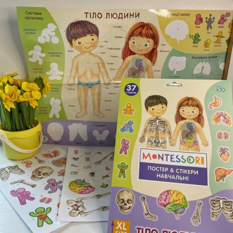 Навчальний постер з наклейками 300901 «Тіло людини» XL DoDo