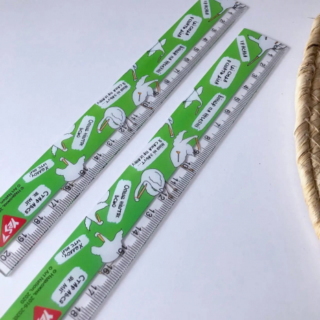 Линейка пластиковая 20см Гусь, YES 370591