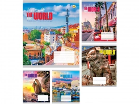 Учебная тетрадь 24 листа клетка Твердая 41307 Город Тетрада