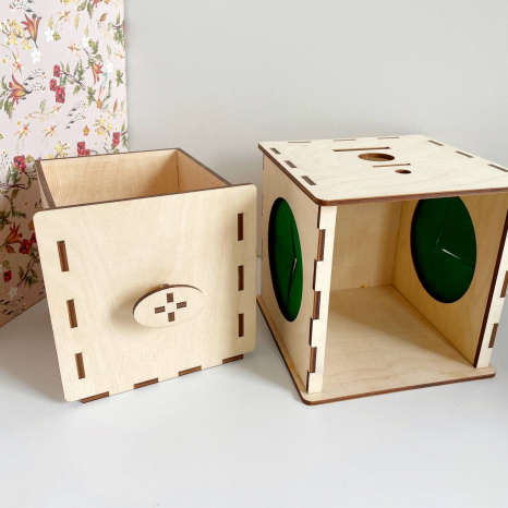 Дерев'яний куб-сортер 2 в 1 (шкатулка + на дотик)