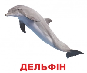 Карточки Домана "Мои первые знания" от Вундеркинд с пеленок, крупные, с фактами. 4612731630959