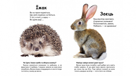Книжка-картонка: Хто це? Лісові тварини + великі фото (запитання та відповіді) Пегас