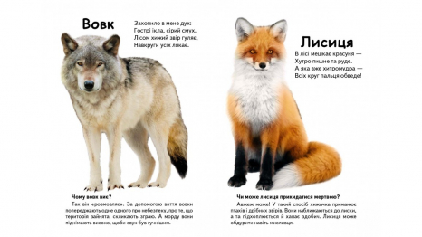 Книжка-картонка: Хто це? Лісові тварини + великі фото (запитання та відповіді) Пегас