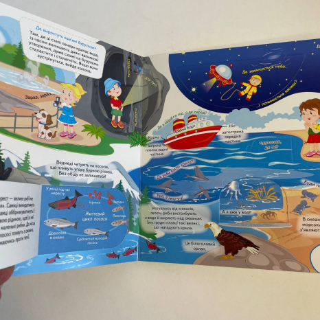 Книжка-картонка з віконцями Чомусики, 10 сторінок, Пегас