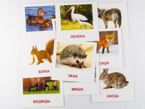 Картки Домана (міні) Лісові мешканці, Ранок