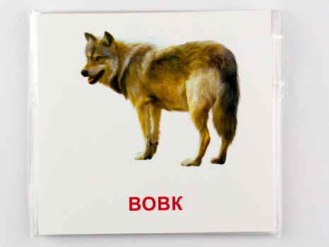 Картки Домана (міні) Лісові мешканці, Ранок