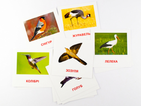 Карточки Домана мини Птицы, Ранок