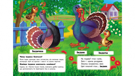 Книжка-картонка: Хто це? На фермі + загадки (запитання та відповіді) Пегас