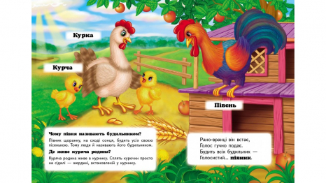 Книжка-картонка: Хто це? Свійські + загадки (запитання та відповіді) Пегас