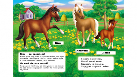 Книжка-картонка: Хто це? Свійські + загадки (запитання та відповіді) Пегас