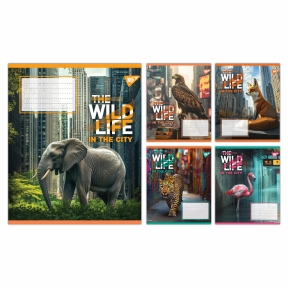 Зошит учнівський шкільний 24 аркуші клітинка Yes The wild in the city
