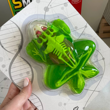 Лаборатоний набір (набір для дослідів)  анатомія Жаба: скелет, внутрішні органи 801B Smart Lab