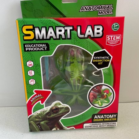 Лаборатоний набір (набір для дослідів)  анатомія Жаба: скелет, внутрішні органи 801B Smart Lab