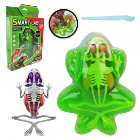 Лаборатоний набір (набір для дослідів)  анатомія Жаба: скелет, внутрішні органи 801B Smart Lab