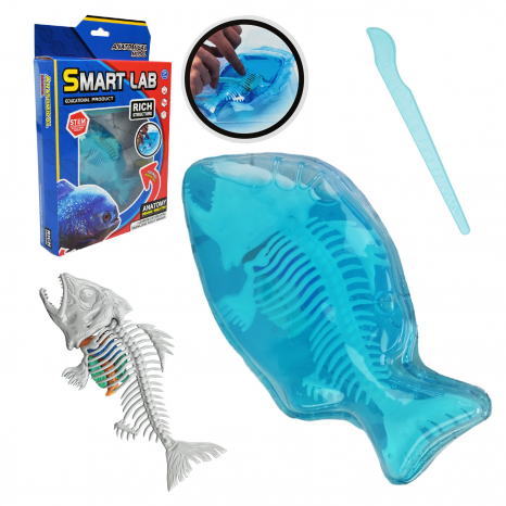 Лаборатоний набір (набір для дослідів) анатомія Піран'я: скелет та внутрішні органи 802B