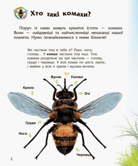 Энциклопедия дошкольника. Насекомые (у)