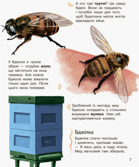 Энциклопедия дошкольника. Насекомые (у)